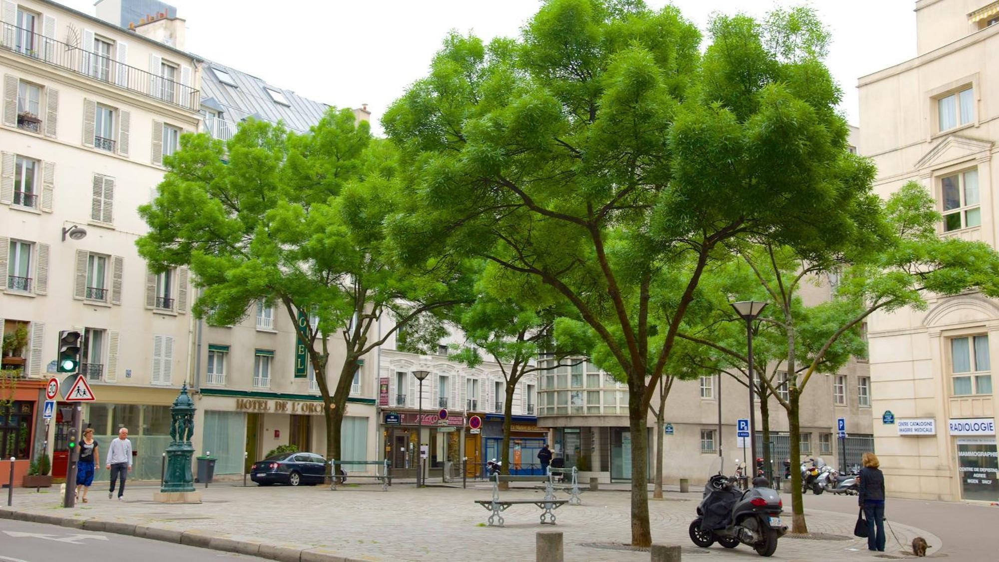 Cosy Hideaway Near Montparnasse Paris Exterior foto